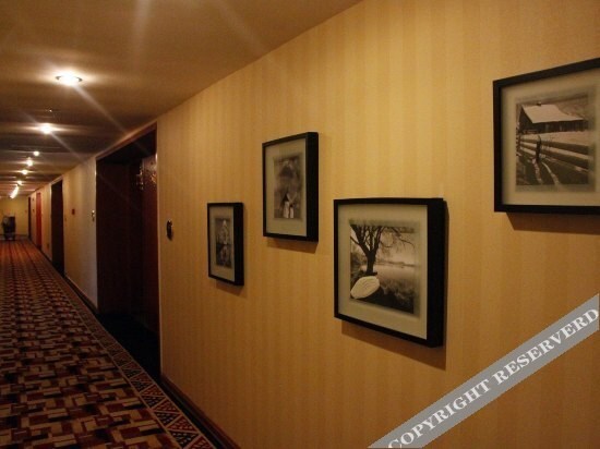carousel image 2