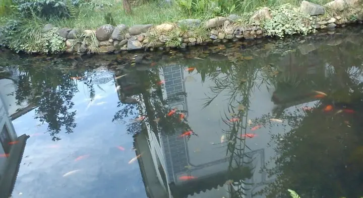 Баошань: Yunshangsiji Fairyland Hotel of Tengchong Jadeite