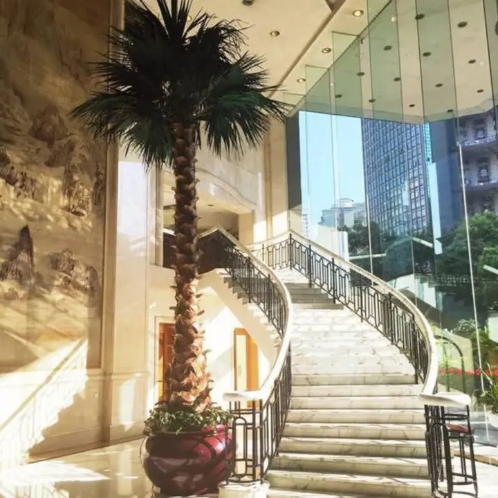 Чанша: Dolton International Hotel Changsha