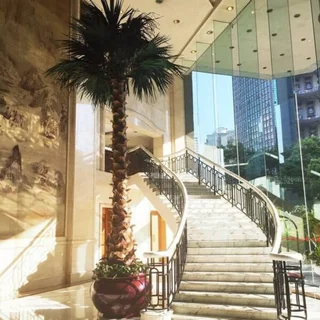 Чанша: Dolton International Hotel Changsha