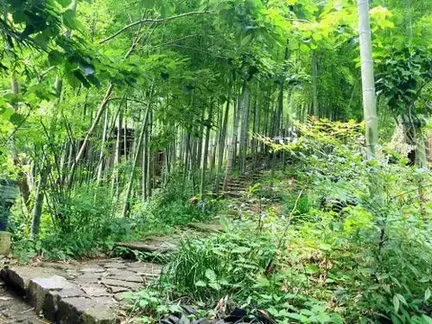 Хучжоу: Moganshan Howoo Life Hostel