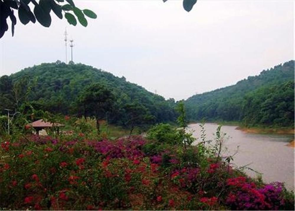 Джиангме: Phoenix Hotel Wuyi