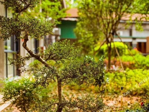 Дунгуань: Zhong Yu Garden Hotel