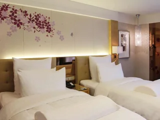 Линьи: Pullman Linyi Lushang