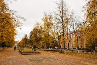 Жуковский: Отель Дружба
