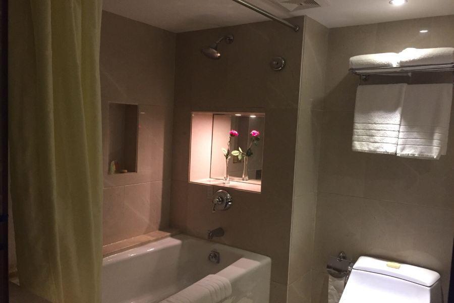 Наньчан: Trilec International Hotel
