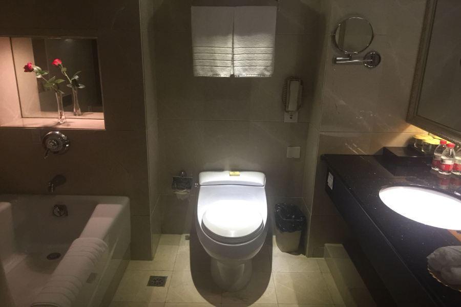 Наньчан: Trilec International Hotel