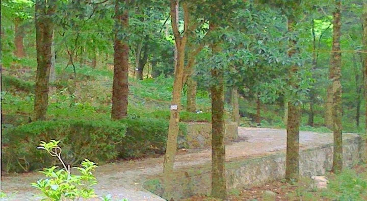 Хуаншань: HuangShan Pine Ridge Lodge