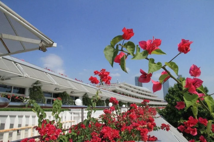 Сямынь: Xiamen Tegoo Hotel
