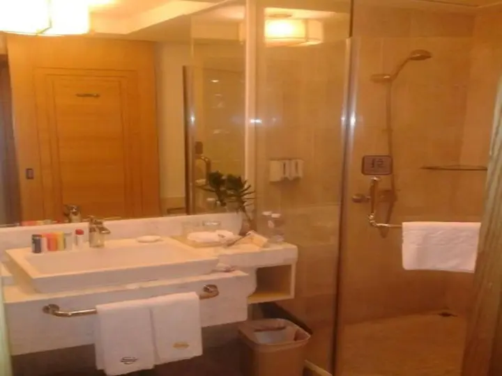 Шэньчжэнь: South Union Hotel