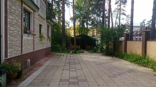 Жуковский: Лесная