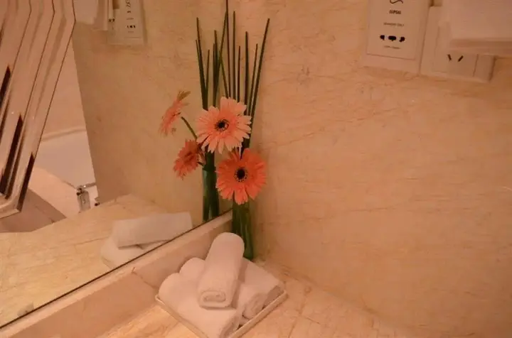 Пекин: New Century Grand Hotel Beijing