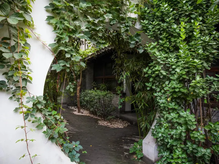 Пекин: The Orchid Hotel, Beijing