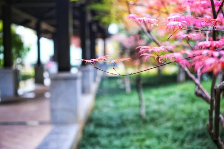 Нанкин: Jinling Riverside Hotel Nanjing
