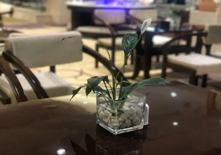 Далянь: Sun Moon Lake Hotel Dalian