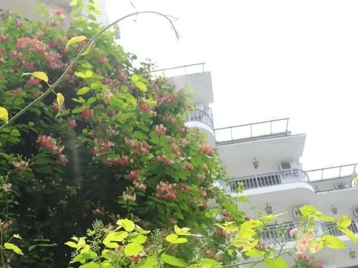 Яншо: Yangshuo Tangrenjie Hotel