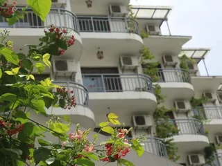 Яншо: Yangshuo Tangrenjie Hotel