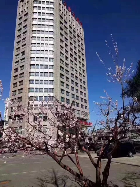 Пекин: Beijing Sunflower Hotel