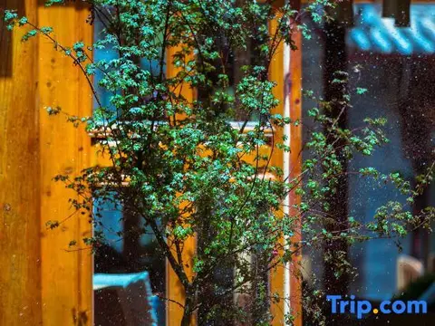 Лицзян: Tianmu Lijiang Hostel