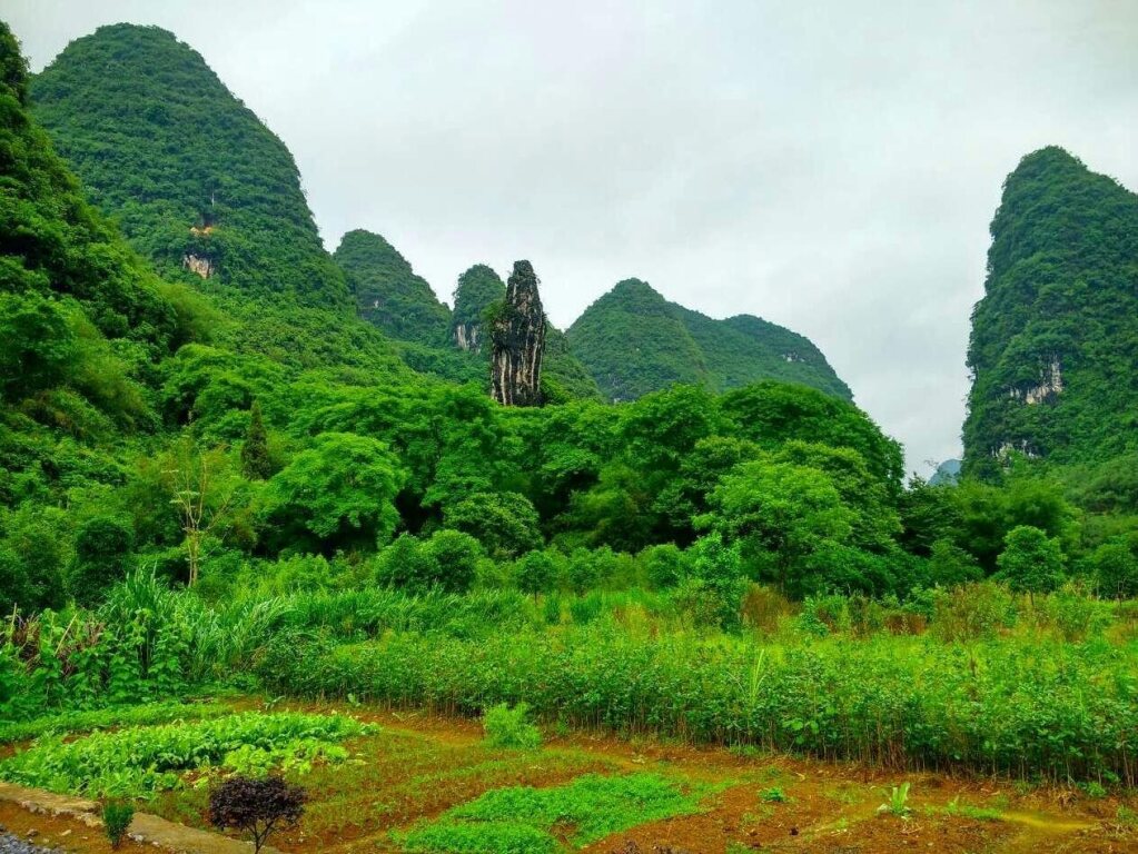 Яншо: Yangshuo Peaceful Valley Retreat