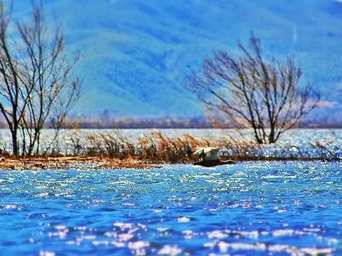 Lijiang Scenery Retreats Lake Front Villa Resort — фото 1