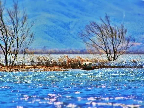 Лицзян: Lijiang Scenery Retreats Lake Front Villa Resort