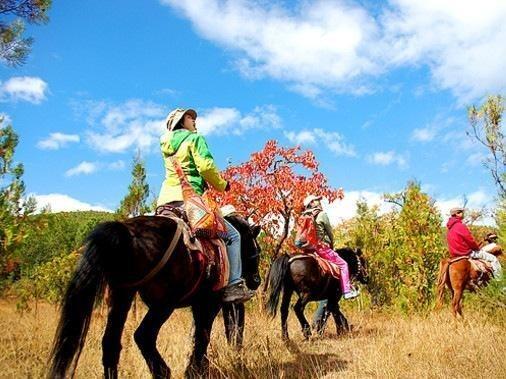Лицзян: Lijiang Scenery Retreats Lake Front Villa Resort