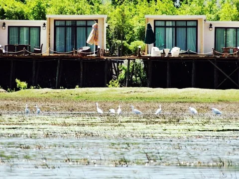 Лицзян: Lijiang Scenery Retreats Lake Front Villa Resort