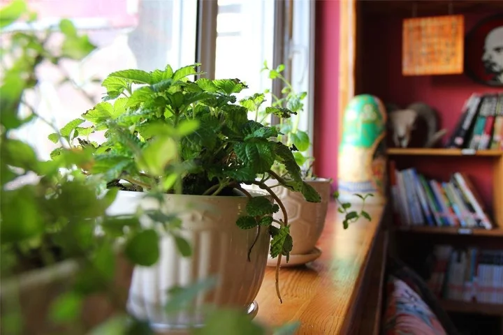 Хулун-Буир: Angala International Youth Hostel