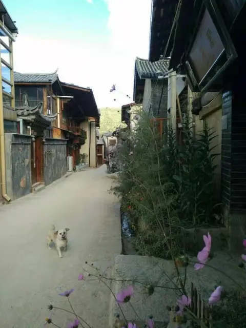 Шангри-Ла: Shangri-La Timeless Inn