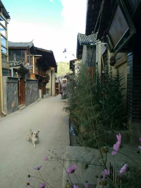 Шангри-Ла: Shangri-La Timeless Inn