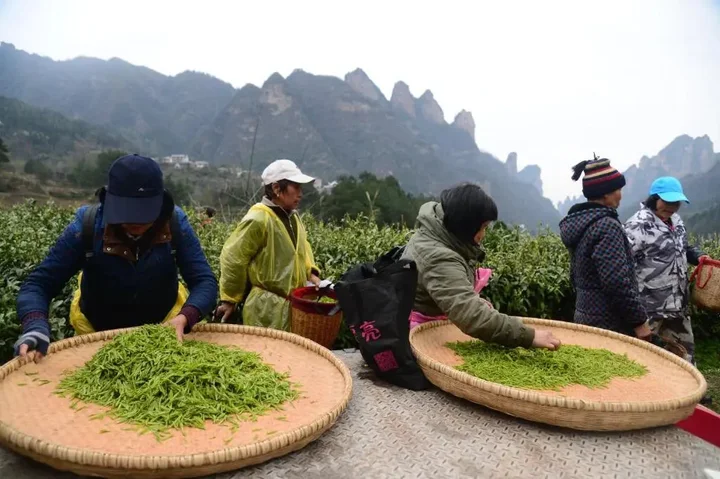 Чжанцзяцзе: Tianmen Hotel