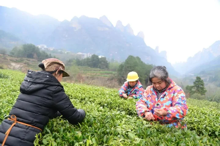 Чжанцзяцзе: Tianmen Hotel