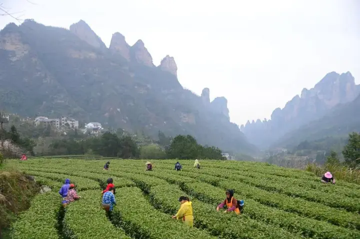 Tianmen Hotel — фото 3