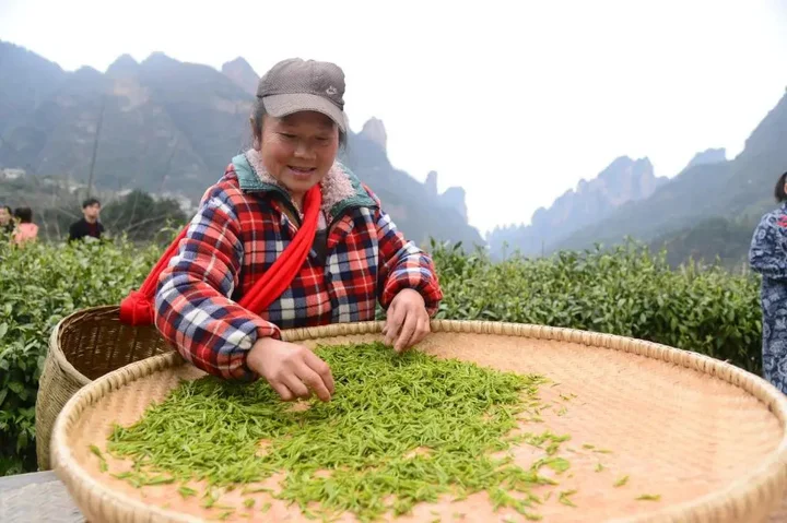 Чжанцзяцзе: Tianmen Hotel