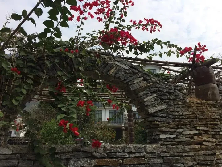 Яншо: Yangshuo Ecofarm Lodge