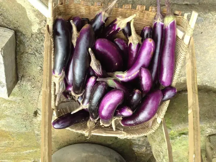 Яншо: Yangshuo Ecofarm Lodge