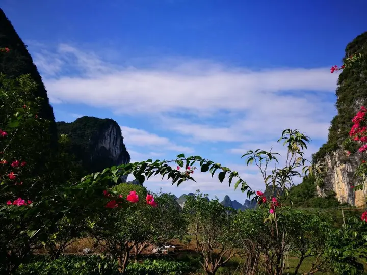 Яншо: Pure Joy Resort
