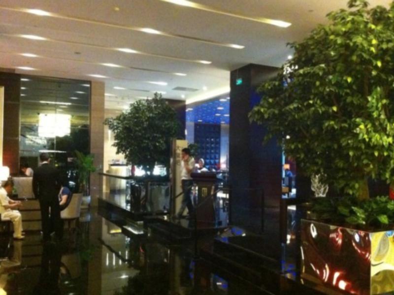 Чжэнчжоу: Zhengfangyuan International Hotel