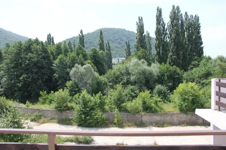 Архипо-Осиповка: Guest house Pchelka