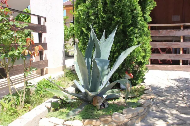 Архипо-Осиповка: Guest house Pchelka