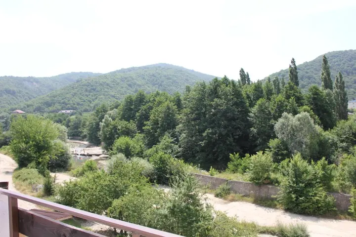 Архипо-Осиповка: Guest house Pchelka