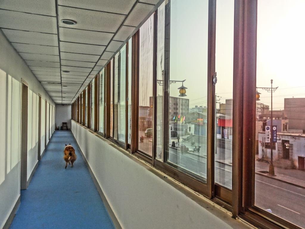 Цзюцюань: Dunhuang Sha Zhou Yi International Youth Hostel