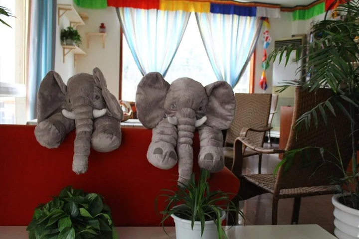 Чэнду: Number 3 1 Youth Hostel Chengdu