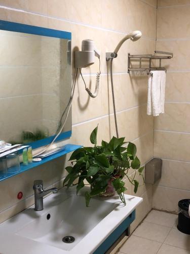 Шанграо: Sanqing Mountain Quanlin Farm Stay