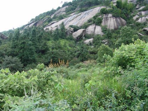 Шанграо: Sanqing Mountain Quanlin Farm Stay