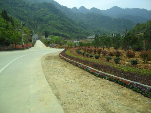 Шанграо: Sanqing Mountain Quanlin Farm Stay