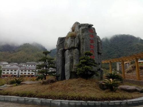 Шанграо: Sanqing Mountain Quanlin Farm Stay