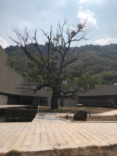 Шанграо: Sanqing Mountain Quanlin Farm Stay