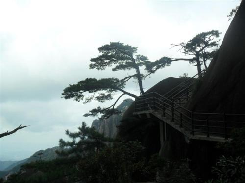 Шанграо: Sanqing Mountain Quanlin Farm Stay